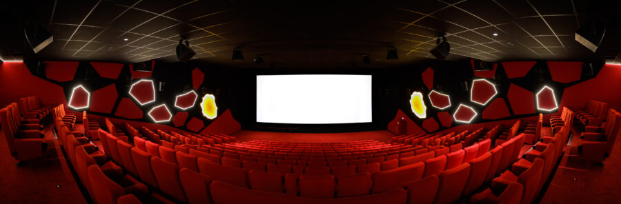 1ère projection au « Ciné Grand Sud » à Pierrefonds !